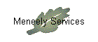 Meneely Services