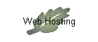 Web Hosting